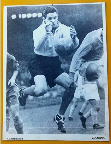 Football dominique colonna - dominique,