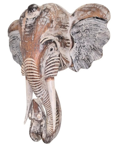 Grande tête éléphant - tête, d'éléphant