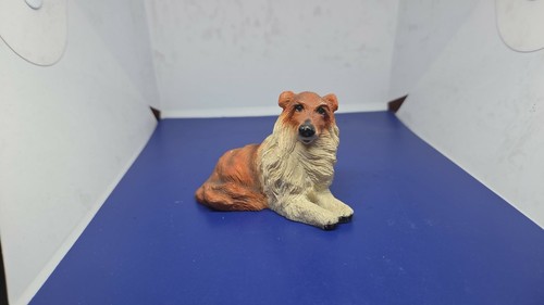 Collection atlas chien - , (3)