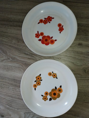 Assiettes arcopal modèle - assiettes,