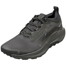 Nike Pegasus Trail 5 Gore-Tex