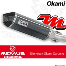 Echappement Remus Okami