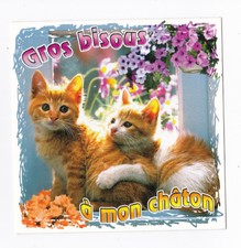 CHAT Chatons CHATS carte postale n° 6028/72 Gros bisous à mon chaton
