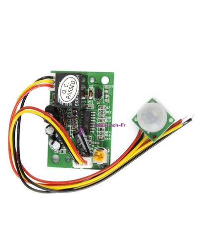 12v pir pyroelectric - dc, ir