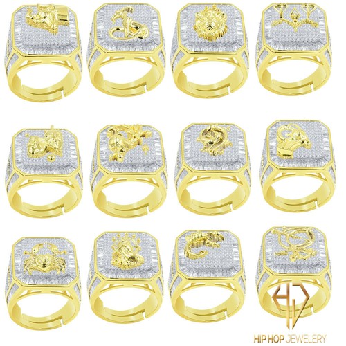 Zodiac sign astrology baguette - zodiac,