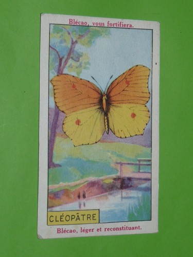 Chromo 1930 1950 bledine - 1930-1950,