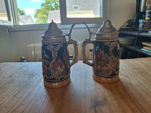 Lot chopes à bière - lot,