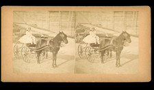 Jeune femme et sa voiture à cheval, ca.1870, stéréo  tirage d'époque  1