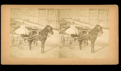 Jeune femme voiture à - femme,
