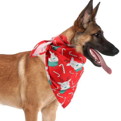 Accessoires pour chiens - accessoires,