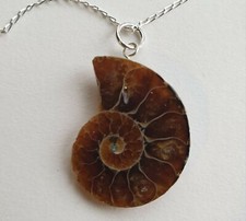 Collier tranche d'ammonite