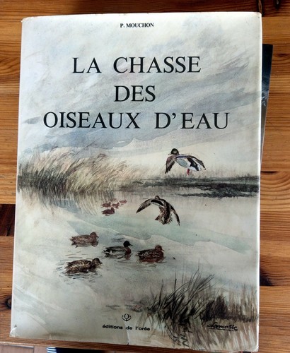 Chasse des oiseaux - chasse,