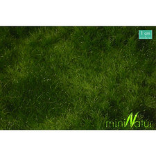 Mininatur Prairie fertile -