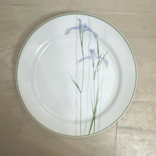 Corning corelle shadow - corning, iris