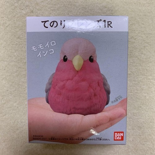 Tenori friends pink - friends,