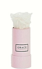 Rose blanche éternelle Grace