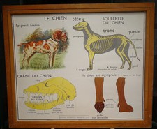 ancienne affiche scolaire