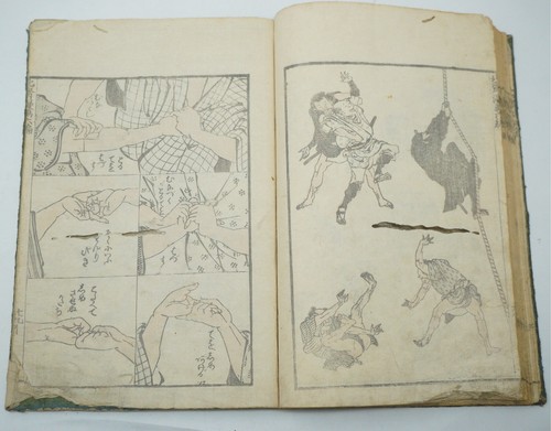 Livre manga hokusai avec - manga,