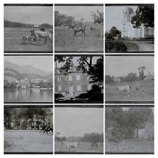 Bailly, Renard, chevaux, photos plaque de verre, lot de 10 négatifs 4x6 cm