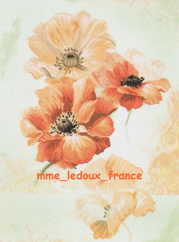 Sky anemones kit pt croix - ",