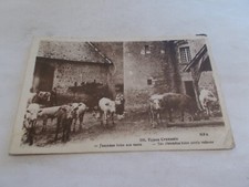 23  TYPES CREUSOIS FERME ANIMEES FEMME ENFANT VACHES J EMMENE BOIRE NOS VEAUX