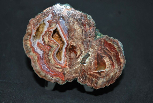 Agates fréjus - agates,