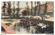 AWCP16-1077-76 - EU - L'abreuvoir