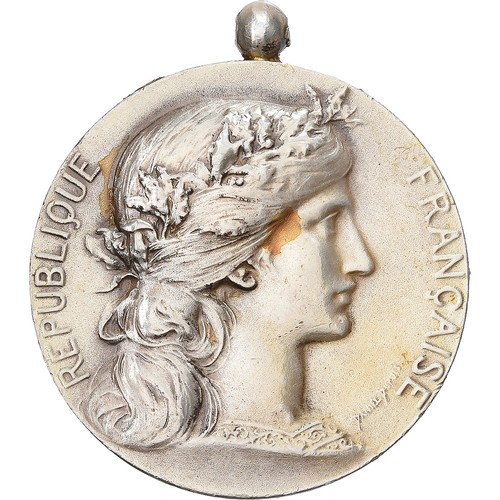 France médaille société - france,,