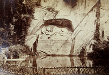 Lion Lucerne Monument Albumen