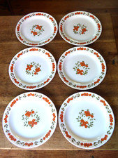 série de 6 assiettes plates