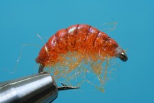 Fliegentom Nymphe 3 piéces