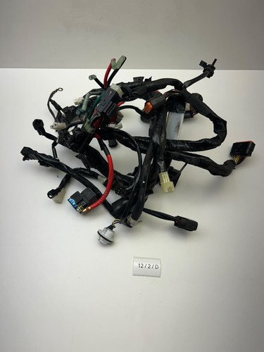 Faisceau électrique origine