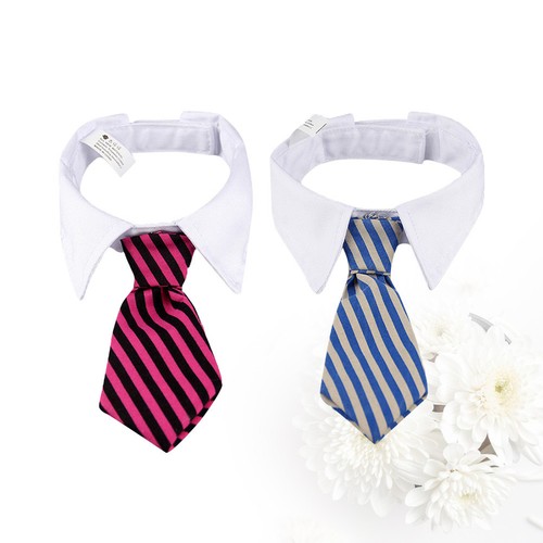 Pcs collerette chaton - pcs,