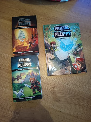 Lot et livres - lot,
