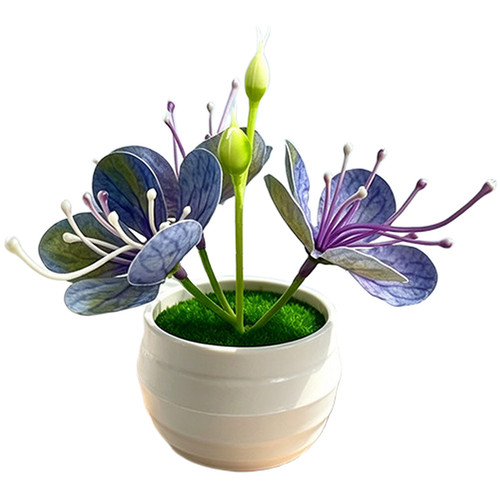 Pour fleur cerisier - fleur,