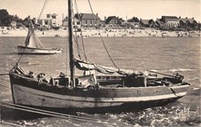 85-FROMENTINE-SARDINIER