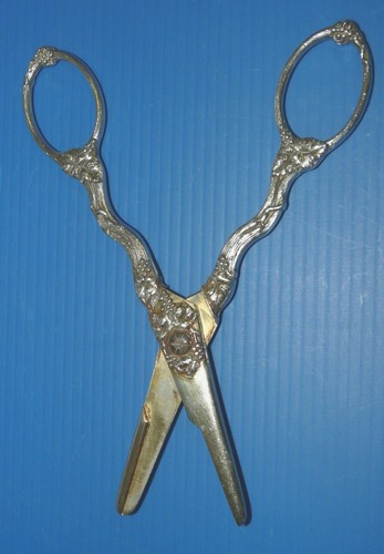 Paire ciseaux raisin - ciseaux, argent
