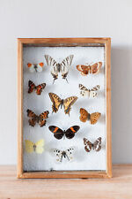 Cadre Coffret Murale 12