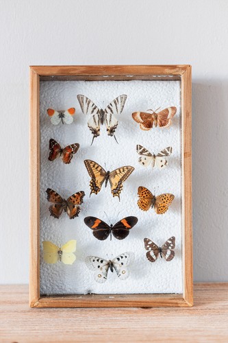 Cadre coffret murale - cadre,