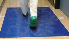 Tapis Charognards Avec