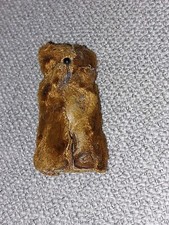 Ancienne Ourson Miniature Poupee Jumeau BRU Steiner peluche steiff Pintel ours