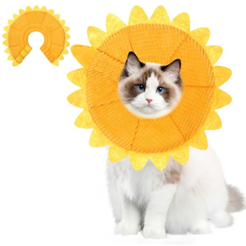 Collerette souple chien - souple, joli
