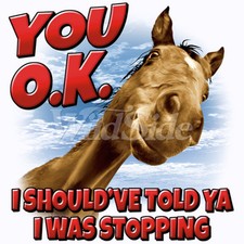 You O.K. - Horse T Shirt  You Choose Style, Size, Color 10559