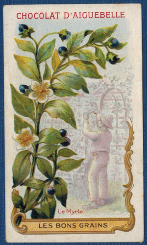 Antique chromo chocolaterie - antique, chromo-chocolaterie