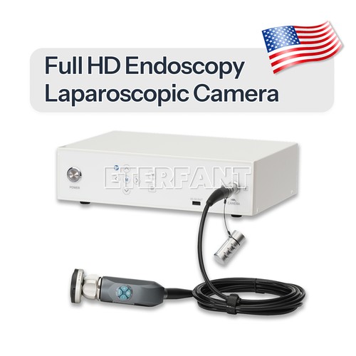 1080p full ent endoscopy - full,