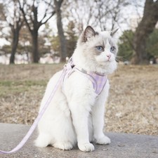 Taille XL Chien Chat Harnais Gilet Et Ensemble En Cuir De Plomb Réglable Pour