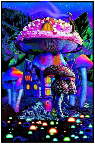 Maison champignon affiche - maison,