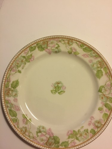 Haviland limoges france - &, co.