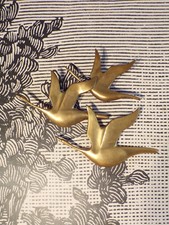 3 OISEAU-OIE SAUVAGE en