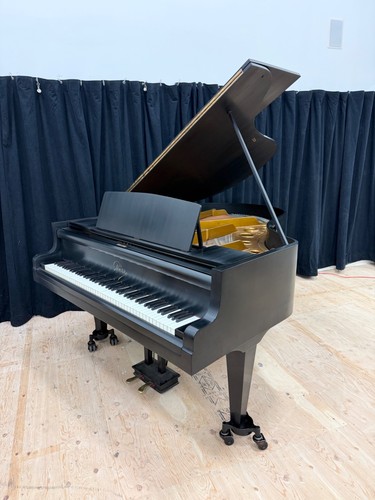 Carl dorr vintage grand piano - vintage,